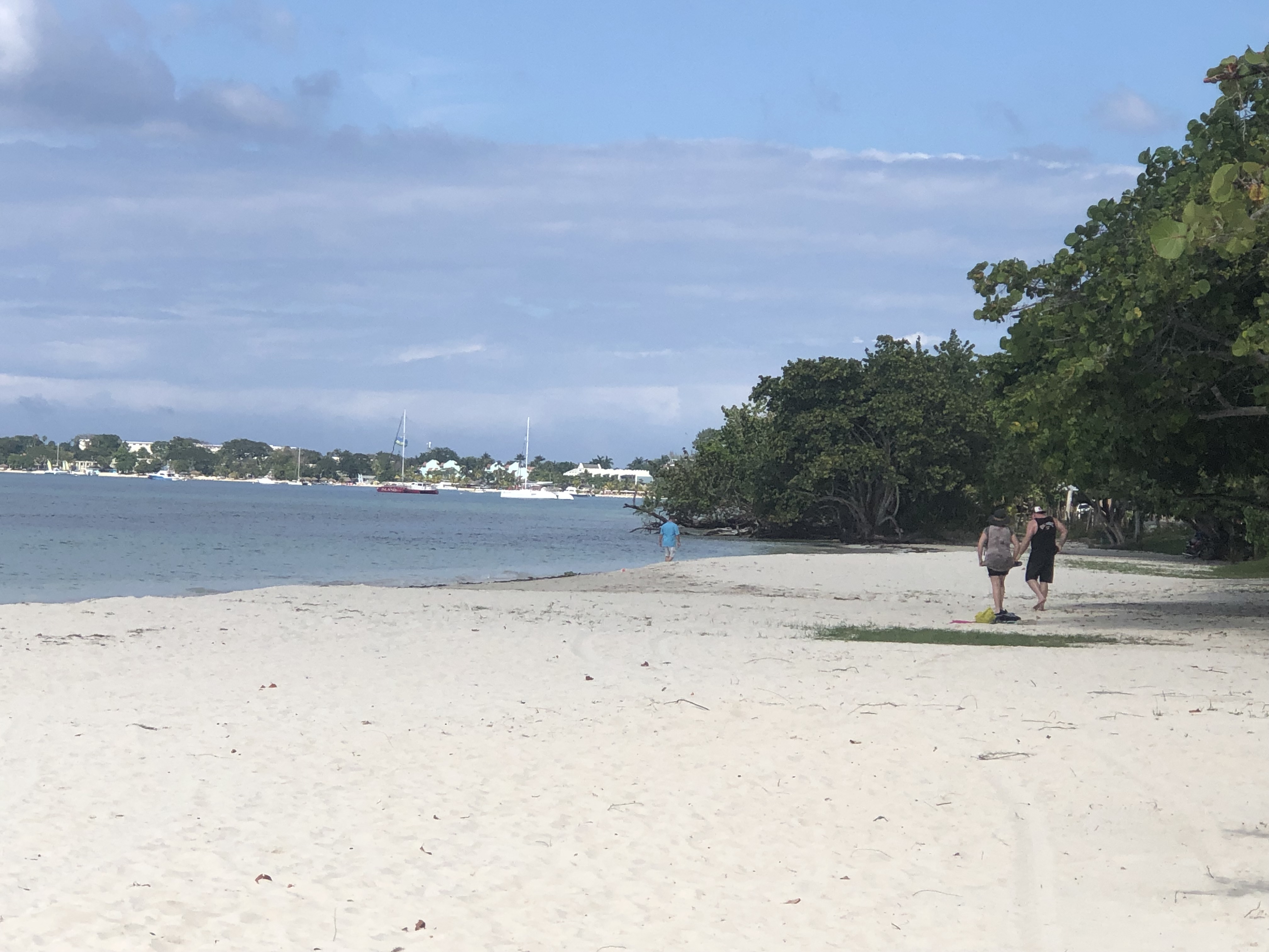 longbayscene longbayscene