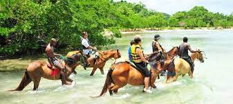 rhodeshall rhodeshall