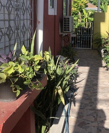 UpdatedWalkwaySM UpdatedWalkwaySM